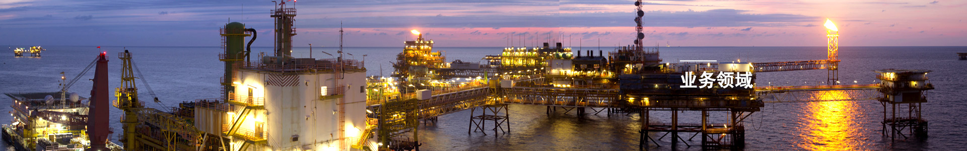 業(yè)務(wù)領(lǐng)域